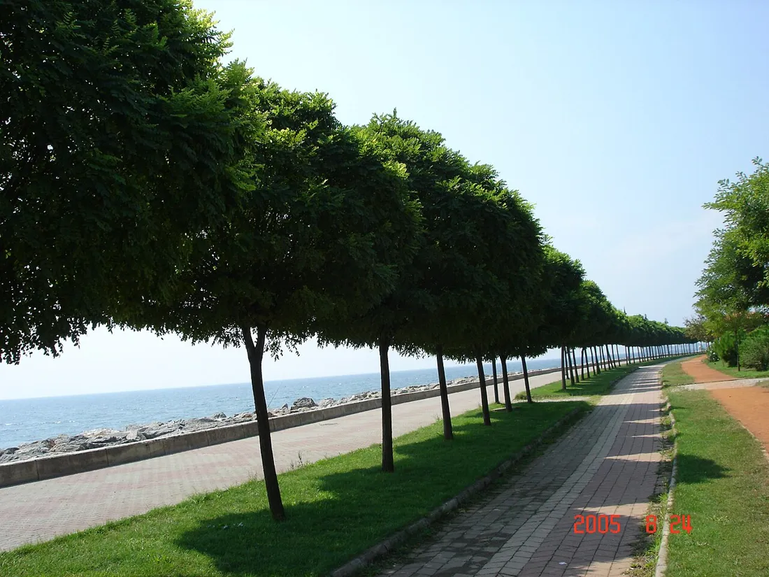 Tuzla Paslanmaz cam korkuluk imalatı